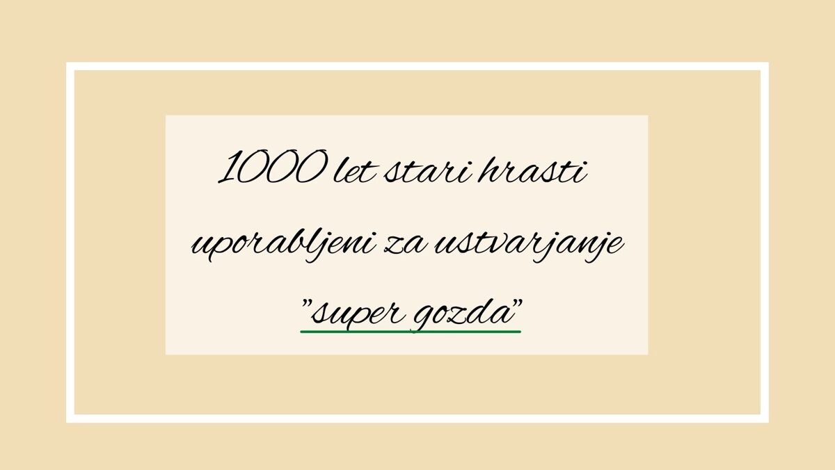 1000 let stari hrasti uporabljeni za ustvarjanje super gozda