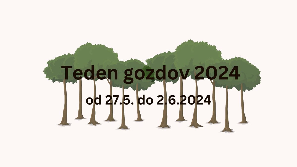 Teden gozdov 2024