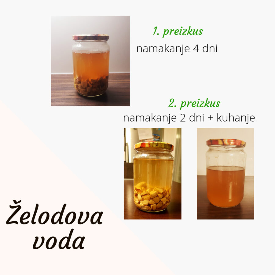 Želodova (fermentirana) voda